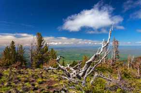 View of Wallowa valley-0070.jpg View of Wallowa valley-0070.jpg